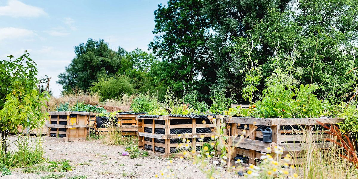 Gartenfläche mit Hochbeeten