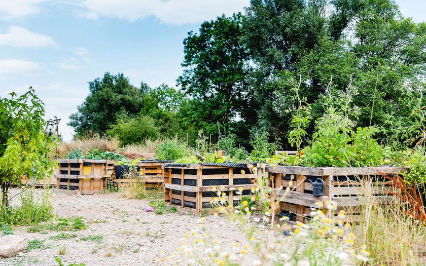 Gartenfläche mit Hochbeeten