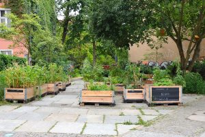 Urbanes Gärtnern  –  gut für Auge, Mund, Lebensqualität und sozialen Zusammenhalt