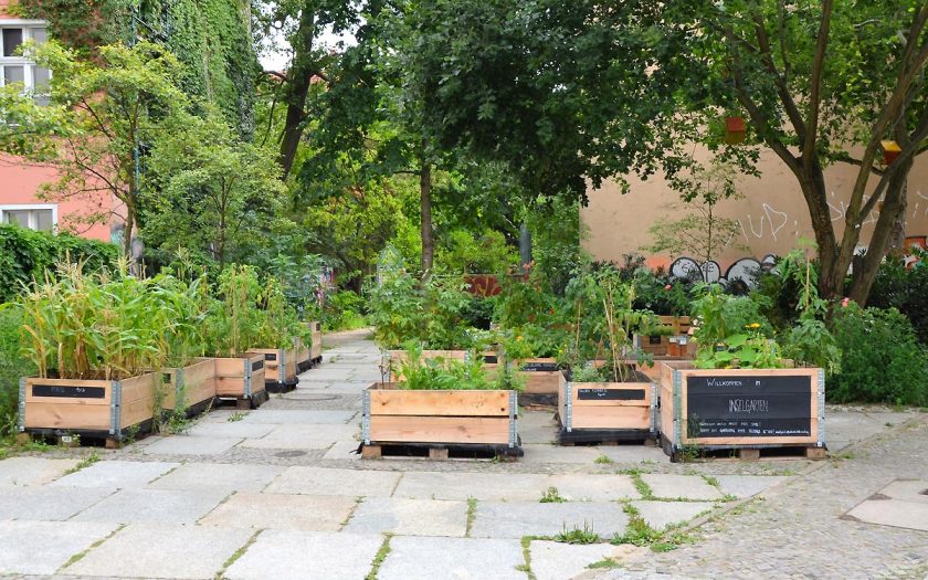 kleine Beete mit Pflanzen